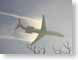 ABalaska.jpg Sky Aviation photography