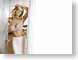 AC01JennaJameson.jpg Portraits women woman female girls Show some skin photography fake breasts boob job porn star pornstar