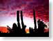 ACcrepusculo.jpg Sky cactus desert sunrise sunset dawn dusk silhouettes photography