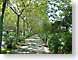 AM7montjuic.jpg trees forest woods woodlands Landscapes - Rural green