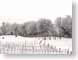 ANfrostdVineyard.jpg trees forest woods woodlands snow white Landscapes - Rural winery vineyard