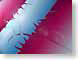ASbazzleIsto.jpg Art blue blueberry strawberry pink abstract