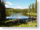 ATmedBowLake.jpg Landscapes - Water trees forest woods woodlands lakes ponds water loch green photography