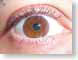 AZPseeDifferent.jpg Logos, Apple eyes eyeballs closeup close up macro zoom photography