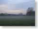 AZfieldAtDusk.jpg sunrise sunset dawn dusk trees forest woods woodlands grass Landscapes - Rural fog foggy haze hazy hazey