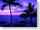 BApvsunset.jpg Landscapes - Water sunrise sunset dawn dusk tropical tropics palm trees silhouettes photography