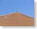 BC06arizona.jpg birds avian animals Architecture blue bricks brick wall rooftops photography