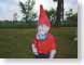 BJMgardenGnome.jpg Still Life Photos gardens grass gnome nain