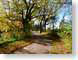 CAAoctoberPath.jpg leaves leafs trees forest woods woodlands Landscapes - Rural path walkway photography