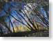 CAAriverRenoir.jpg Art painting clouds reflections mirrors river creek stream water photography