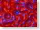 CBCoolness.jpg Art abstract ruby red