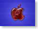 CKmonkeyApple.jpg Logos, Apple mammals animals monkey monkies primates mammals blue red