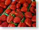 CKstrawberries.jpg strawberry pink Still Life Photos red fruit