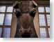 CWpersianBull.jpg Art oriental sculpture bronze statues chicago illinois photography ancient cows bovine mammals animals