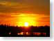 DDhomeToRoost.jpg Sky birds avian animals sunrise sunset dawn dusk orange photography