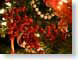 DLornaments.jpg Holidays christmas closeup close up macro zoom red photography