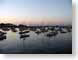 EAharbor.jpg Landscapes - Water sunrise sunset dawn dusk boats ocean water monterey bay aquarium harbor