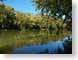 EDBriver.jpg Landscapes - Water trees forest woods woodlands river creek stream water