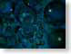 EDbubbles.jpg Art water bubbles blue