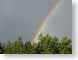 FBdoubleRainbow.jpg Sky trees forest woods woodlands rainbow photography