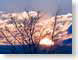 FJS0315sunrise.jpg Flora Sky clouds sunrise sunset dawn dusk photography tree branches