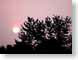 FJS200507Sunrise.jpg Sky sunrise sunset dawn dusk trees forest woods woodlands silhouettes photography