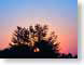 FJS200601sunrise.jpg Sky sunrise sunset dawn dusk silhouettes photography