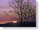 FJS200703Morning.jpg Sky sunrise sunset dawn dusk silhouettes photography tree branches