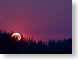 FJS200708Sunrise.jpg Sky sunrise sunset dawn dusk purple lavendar lavender silhouettes photography horizon