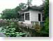 FL03Shizilin.jpg Architecture photography china chinese trees forest woods woodlands green lakes ponds water loch