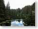FLislandLake.jpg trees forest woods woodlands lakes ponds water loch Landscapes - Rural alaska pine needles