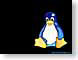 JBaquaTux.jpg Logos, non Apple linux penguin