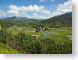 JJKhaenaKauai.jpg farm Landscapes - Rural green hawai'i hawaiian islands photography