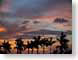 JTfloridaSunset.jpg Sky clouds sunrise sunset dawn dusk palm trees photography