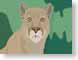 LHPcougarStare.jpg felines cats animals Art - Illustration green tan panther mac os x 10.3
