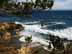 LJPointSurfTwo.jpg Landscapes - Water water beach sand coast trees forest woods woodlands