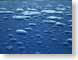 LRrainDrops.jpg water Still Life Photos blue photography