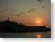 MALcoitSunset.jpg Sky birds avian animals sunrise sunset dawn dusk silhouettes san francisco giants photography