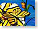 MCbutterfly.jpg Fauna insects bugs Flora - Flower Blossoms nature yellow butterfly moths butterflies insects computer generated images cgi blue