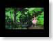 MD03kiki.jpg Animation Movies anime japanese animation women woman female girls green