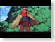 MD22mononoke.jpg Animation anime japanese animation princess mononoke hayao miyazaki