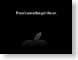 MDsomethingInAir.jpg Logos, Apple black and white bw grayscale black & white Apple - MacBook Air