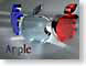 MLglassApples.jpg Logos, Apple indigo blue ruby red fourth of july 4th independence day patriotic patriotism