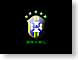 MSKbrasil.jpg Logos, non Apple Sports soccer futbol football world cup champions