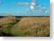 NT04autumn.jpg fall colors grass Landscapes - Rural path walkway turkey turkish photography