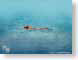 PP13underTheSea.jpg Landscapes - Water blue blueberry women woman female girls ocean water