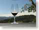 RJW01Phelps.jpg clouds Still Life Photos photography tree branches winery vineyard