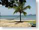 RJW02Nevis.jpg Landscapes - Water beach sand coast palm trees caribbean photography st kitts and nevis caribbean islands hammock