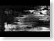RKMameise.jpg Art abstract black and white bw grayscale black & white oil painting
