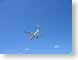 SLairCanada.jpg Sky Aviation blue photography